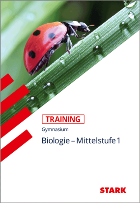 Training Gymnasium - Biologie Mittelstufe Band 1