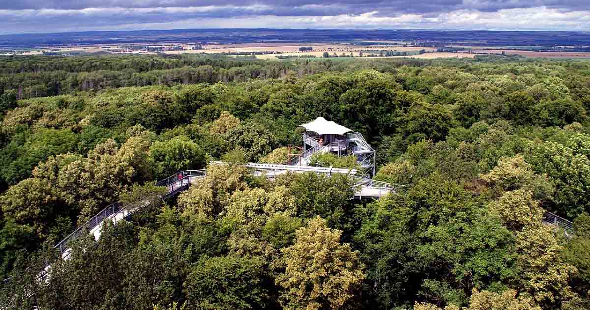 Baumwipfelpfad in Thüringen