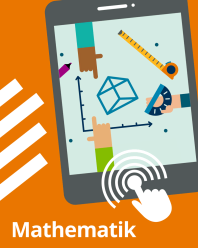 Online-Assessment Mathematik - 6 Monate