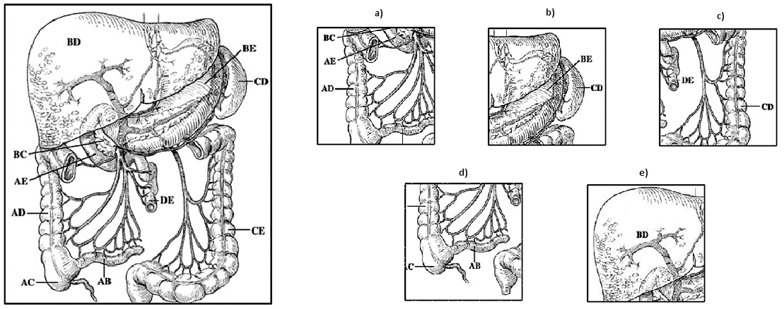 TMS-Untertests Beispielaufgabe 