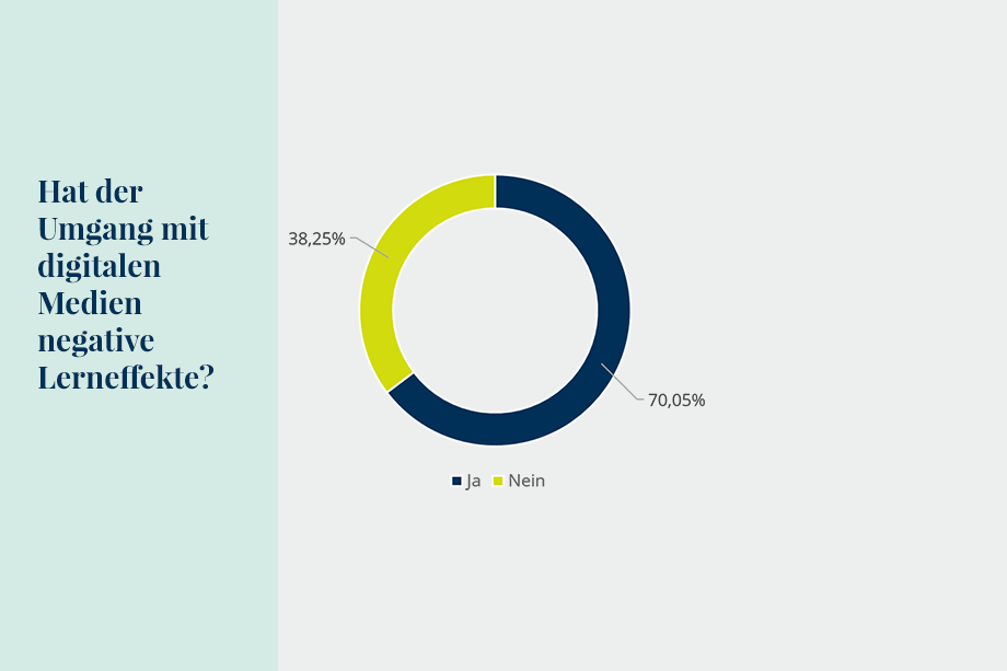 Grafik 9: Negative Lerneffekte